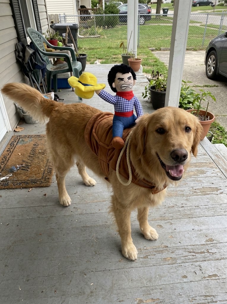Golden retriever wearing the Paw Cowboy costume on a porch